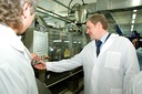 Запуск майонезной линии